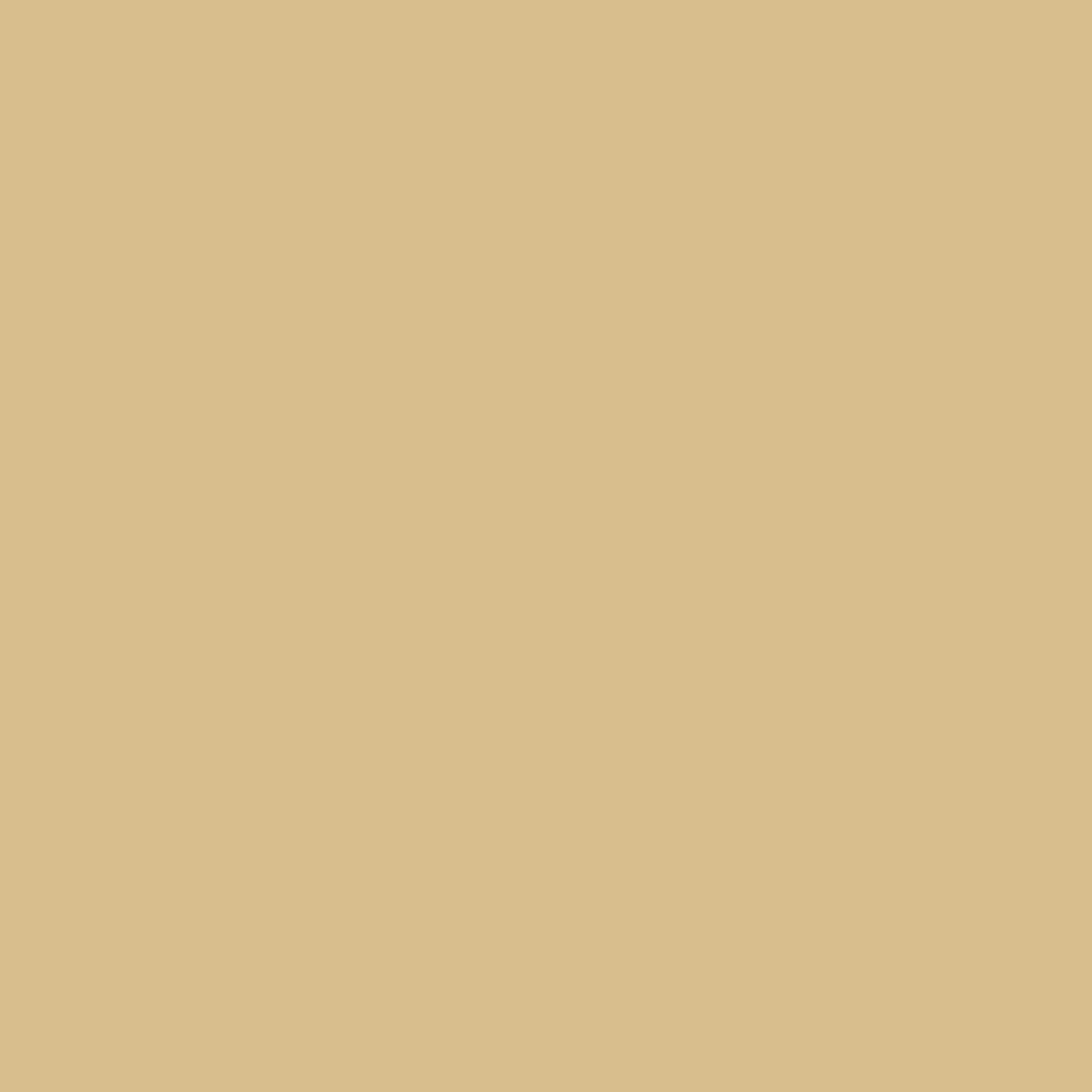 Фасад ADILET Купуасу — 1C8B (HG003) Фасад ADILET Купуасу — 1C8B (HG003)