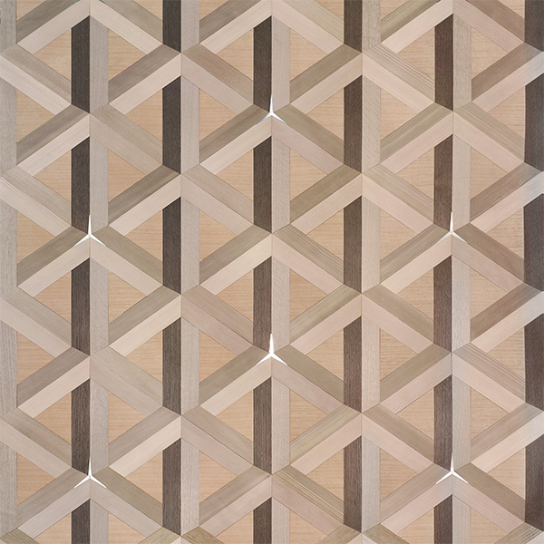 Фасад в шпоне TABU «Панно Rethinking the Future Stella Polare GR.022M»
